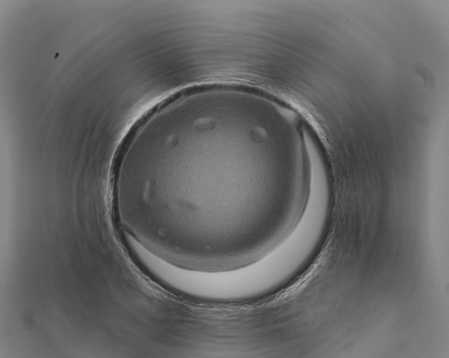 X0000112101077200908181320