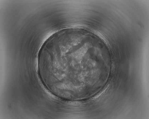 X0000112101079200908181320