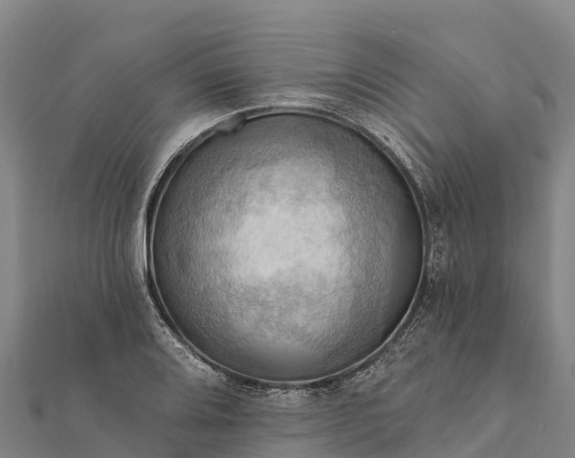 X0000112101080200908181320