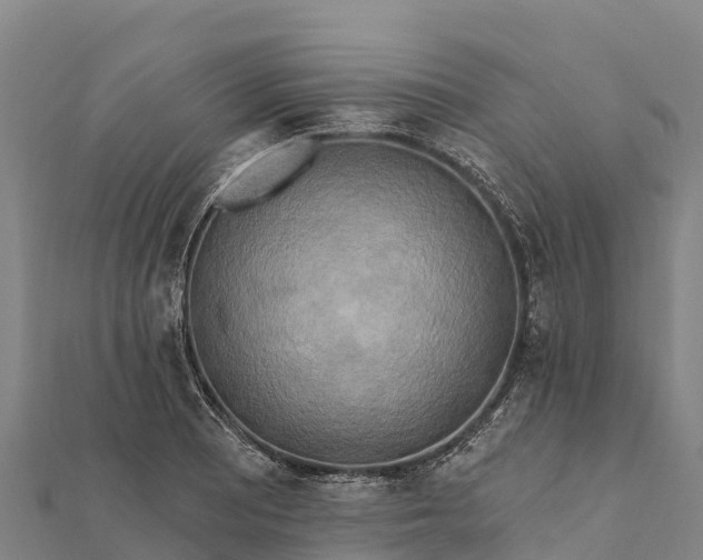 X0000112101081200908181320