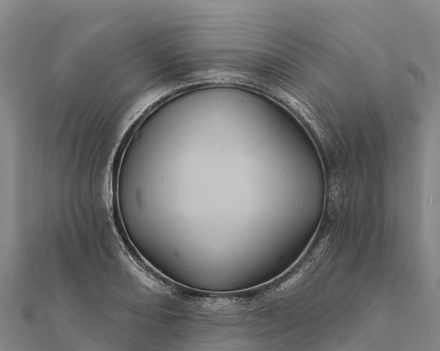 X0000112101082200908181320