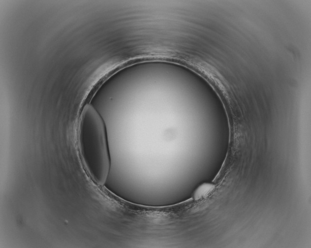 X0000112101085200908181320