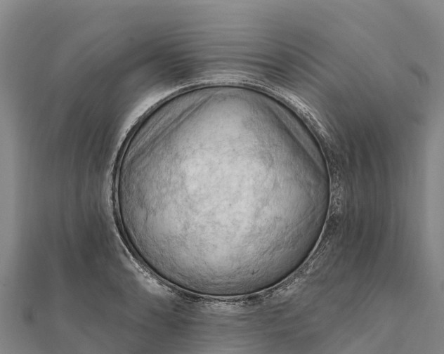 X0000112101086200908181320