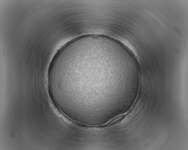 X0000112101088200908181320
