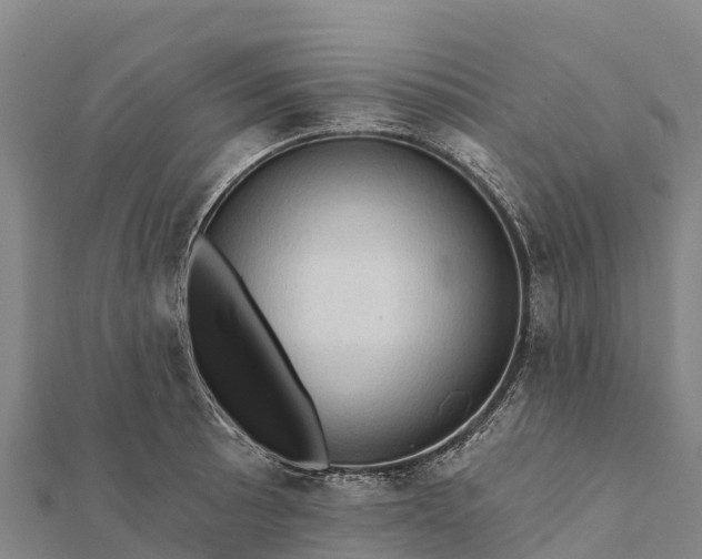 X0000112101089200908181320