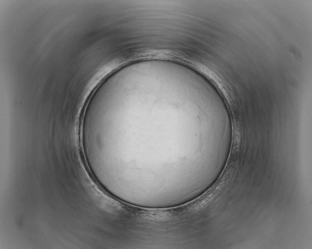 X0000112101090200908181320
