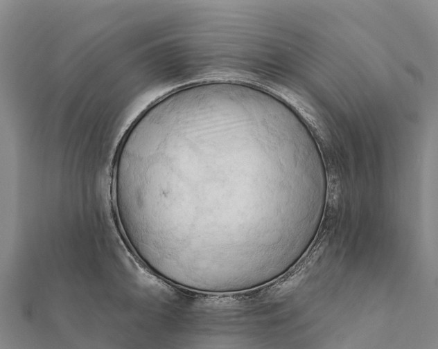X0000112101094200908181320