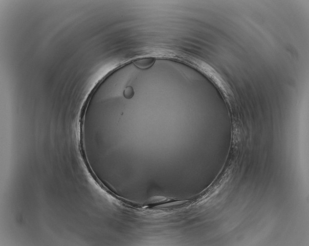X0000112101095200908181320