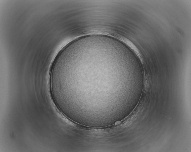X0000112101096200908181320