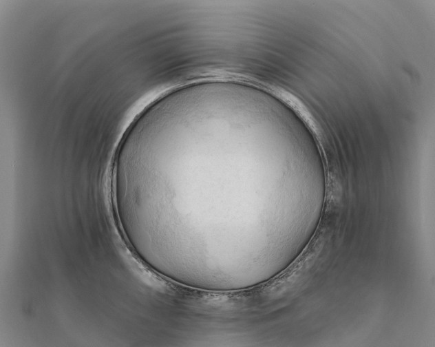 X0000112101098200908181320