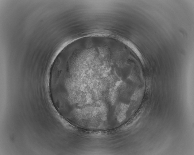 X0000112101099200908181320