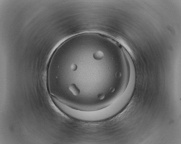X0000112101100200908181320