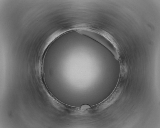 X0000112101101200908181320