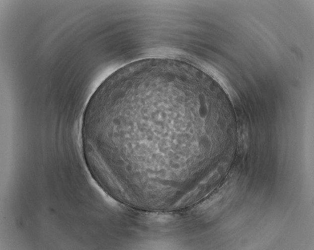 X0000112101103200908181320