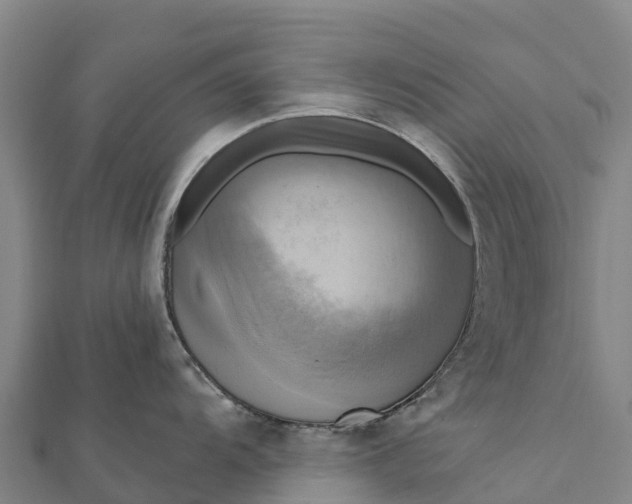 X0000112101104200908181320