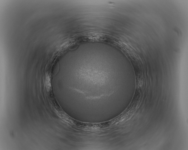 X0000112101106200908181319