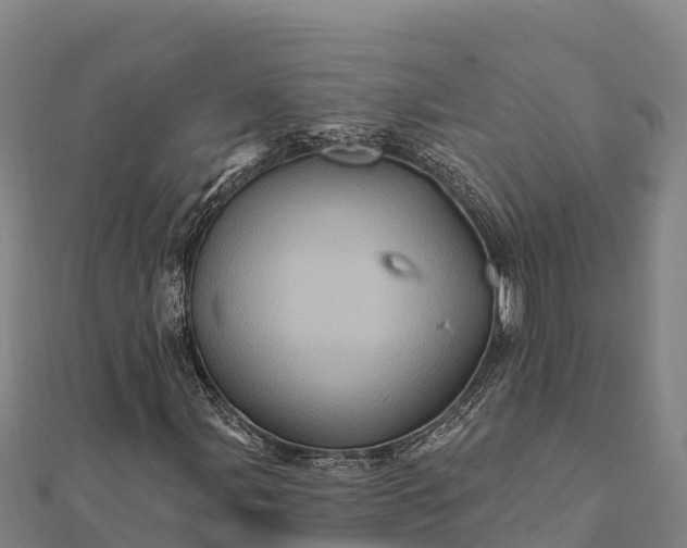 X0000112101107200908181319