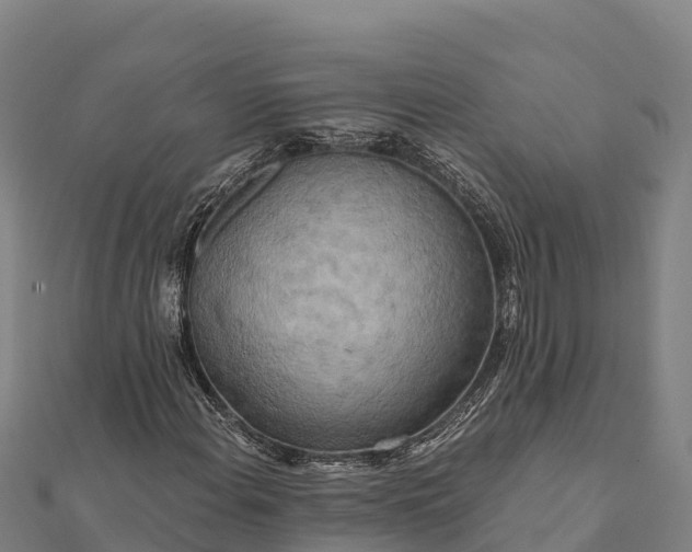 X0000112101108200908181319
