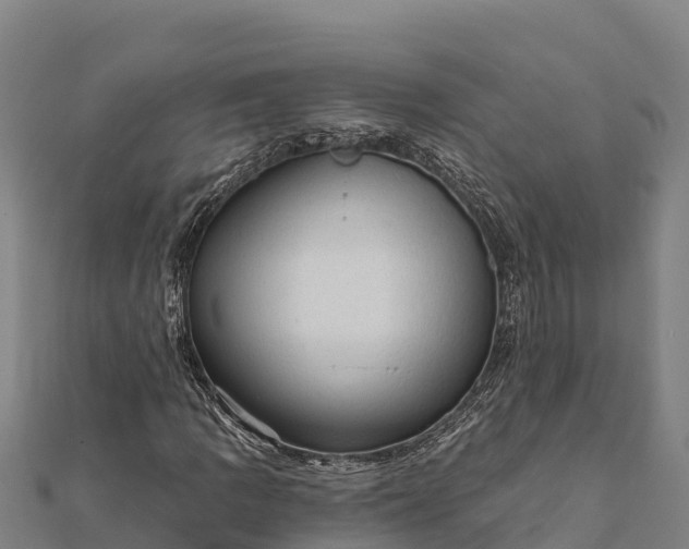 X0000112101109200908181319