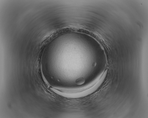 X0000112101110200908181319