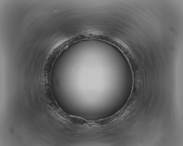 X0000112101112200908181319