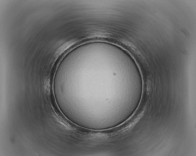 X0000112101113200908181319