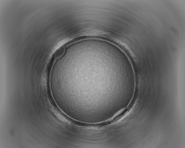 X0000112101114200908181319