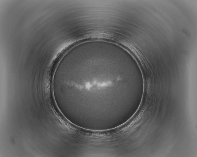 X0000112101115200908181319