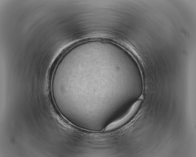 X0000112101116200908181319