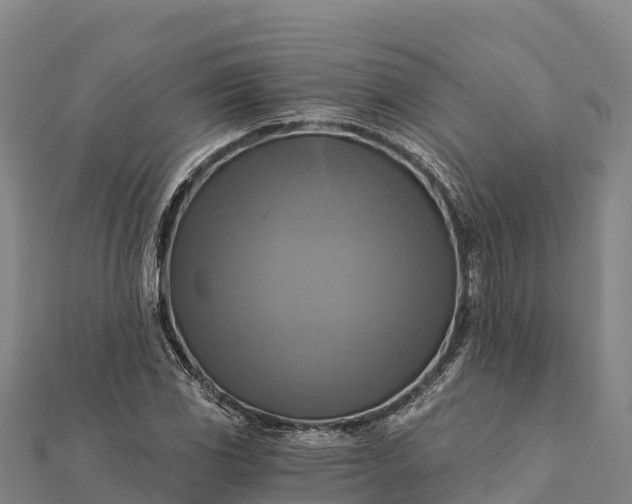 X0000112101117200908181319