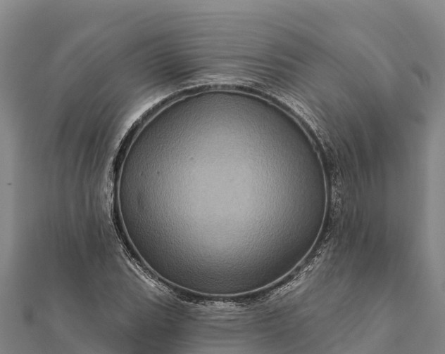 X0000112101119200908181319