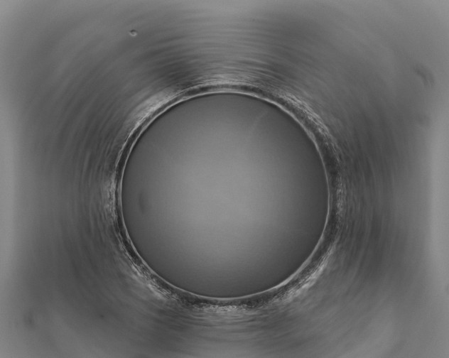 X0000112101121200908181319