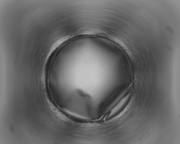 X0000112101122200908181319