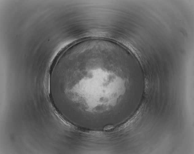 X0000112101123200908181319