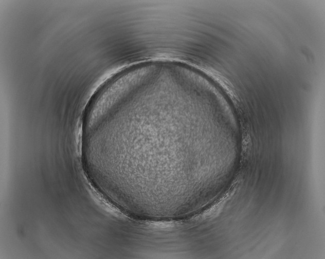 X0000112101126200908181319