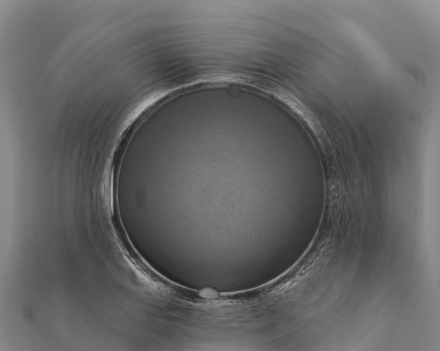 X0000112101127200908181319