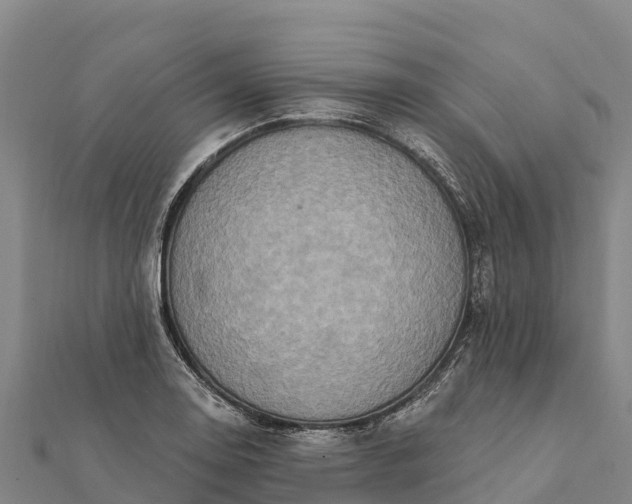 X0000112101130200908181320