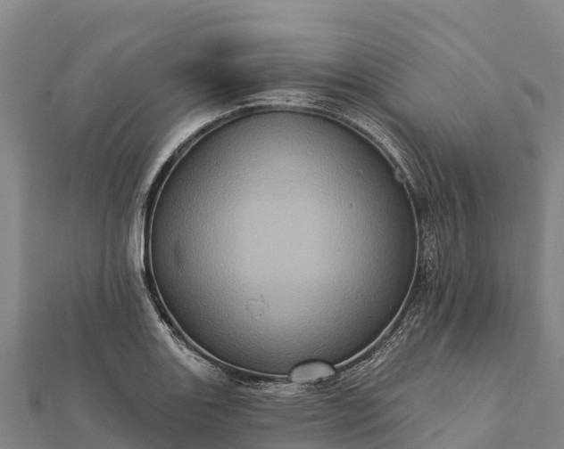 X0000112101131200908181320