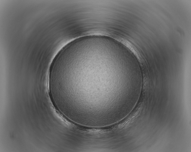 X0000112101132200908181320