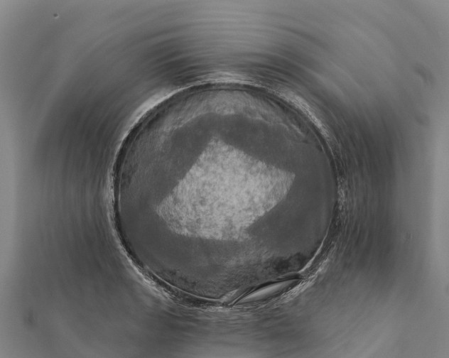 X0000112101133200908181320