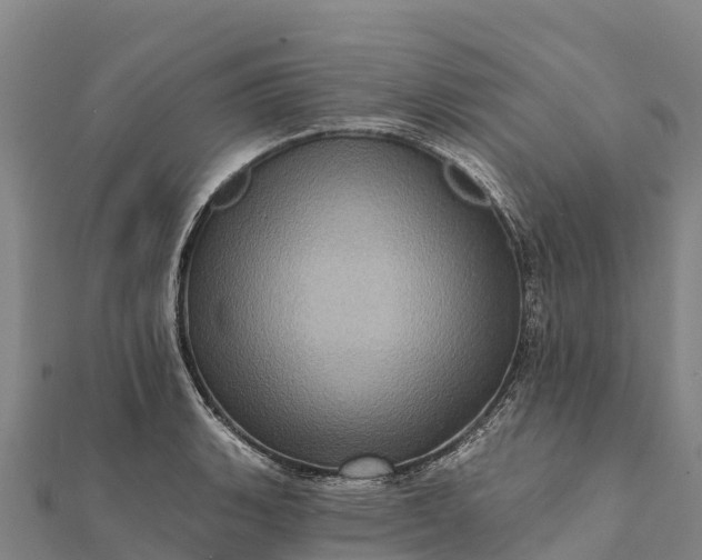 X0000112101135200908181320