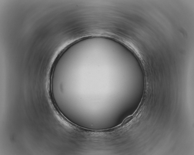 X0000112101136200908181320