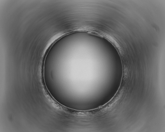X0000112101138200908181320
