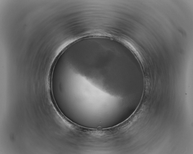 X0000112101141200908181320