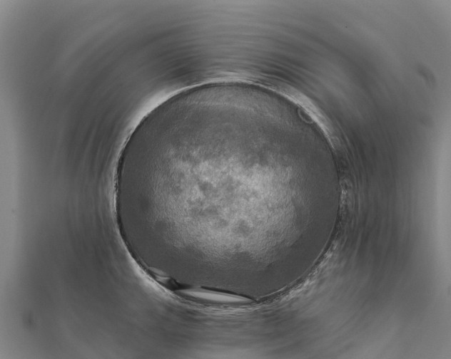 X0000112101143200908181320