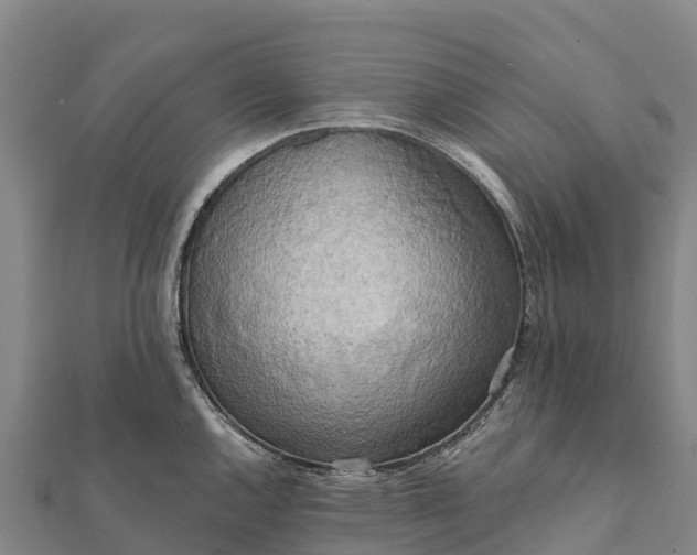 X0000112101144200908181320