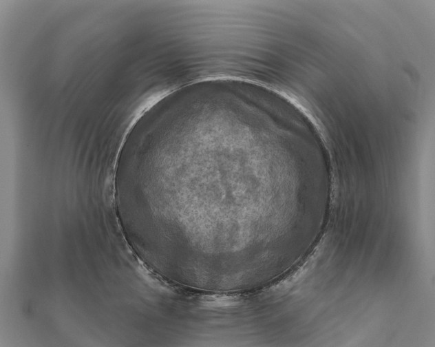X0000112101145200908181320