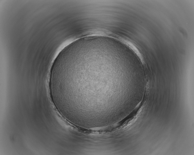 X0000112101146200908181320