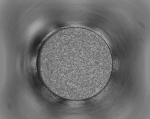 X0000112101150200908181320