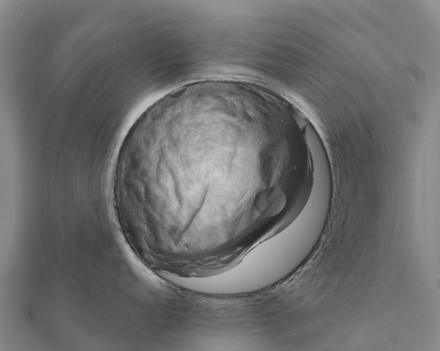 X0000112101152200908181320
